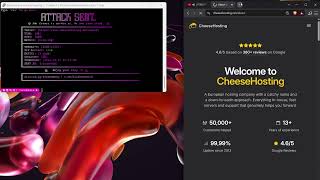 BLUSH C2 | BEST C2/API - SOWCASE - L4/L7 - | DDoS | - 2026