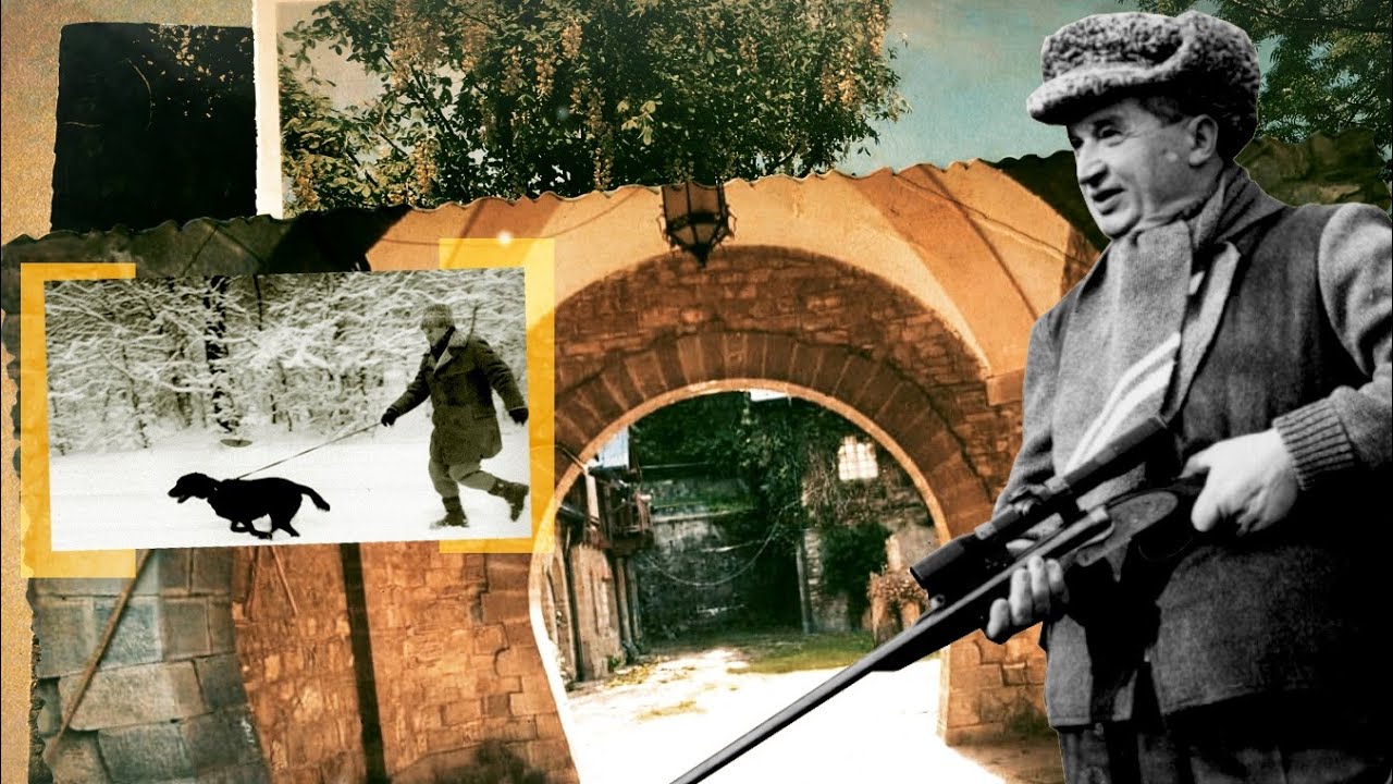 Cum a ajuns cerbul „de aur” în bătaia armei lui Ceaușescu || Muzeul Cinegetic Posada