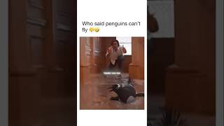 Mr Poppers Penguins Fantastic Movie Clip