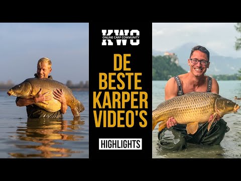 Video: Hoe Om Tsjeggiese Karp Te Kook