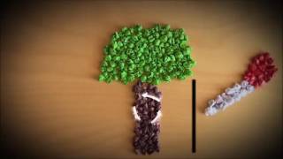 Saving the trees ... Save the earth