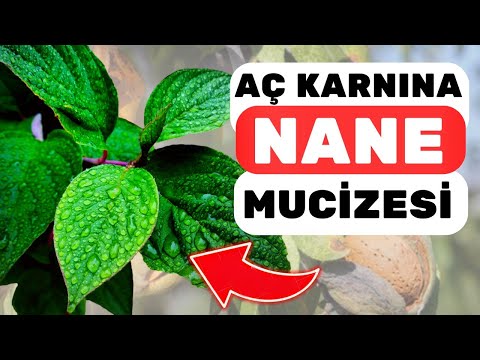 Aç Karnına Çiğ