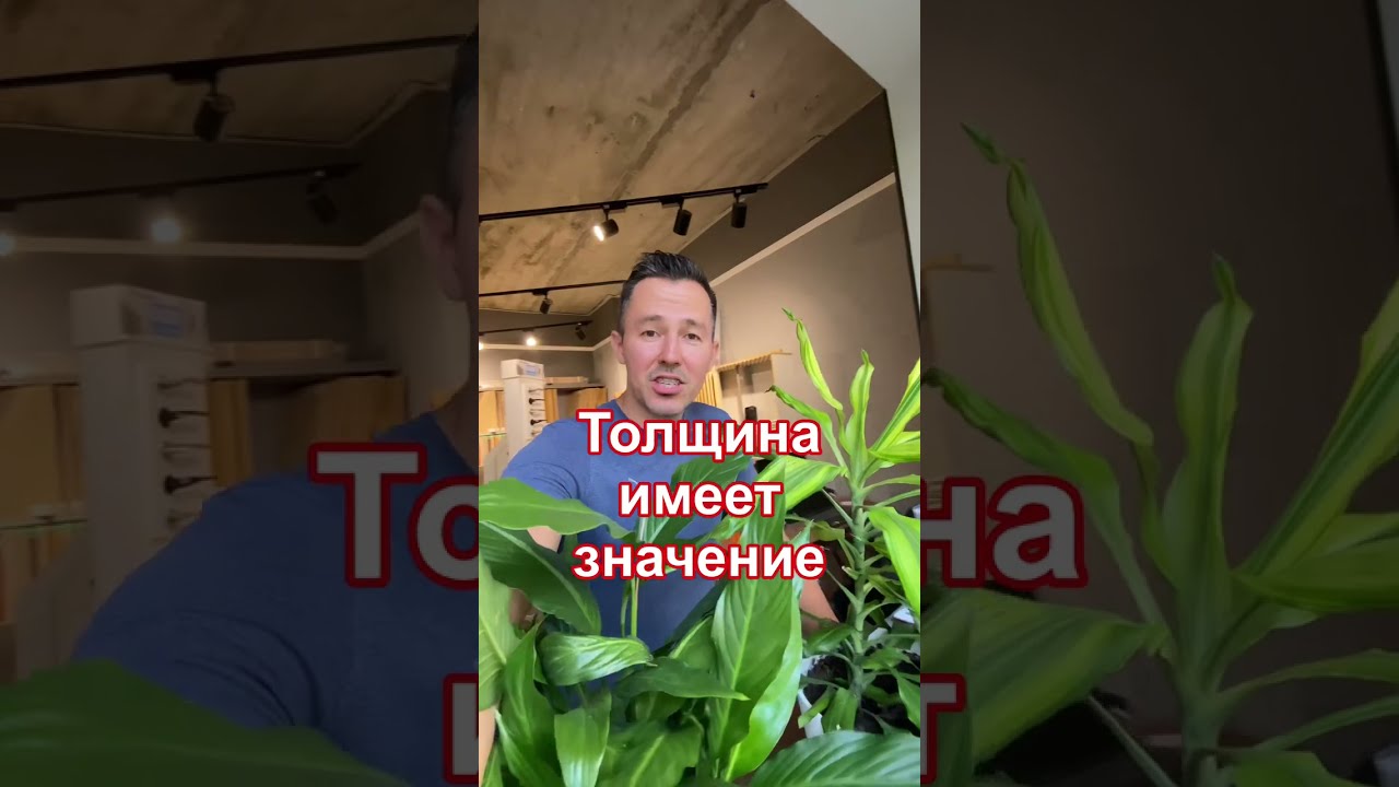 Толщина ламината очень важна! - YouTube