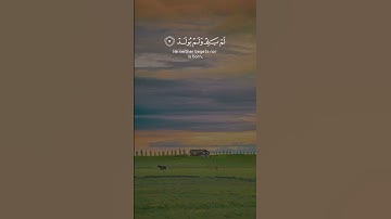 سعد الغامدي سورة الإخلاص Saad Alghamidi Surat Al Ikhlas