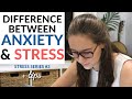 CORTISOL AND ANXIETY (rewiring your anxious brain)