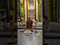 #mantralaya #raghavendraswamy #rayaru #mantralaya_raghavendraswamy#devotional#god #all#viral#kannada