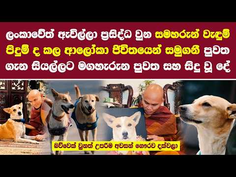 ආලෝකා ජිවිතයෙන් සමුගනී පුවත ගැන සියල්ල aloka the peace dog friend so