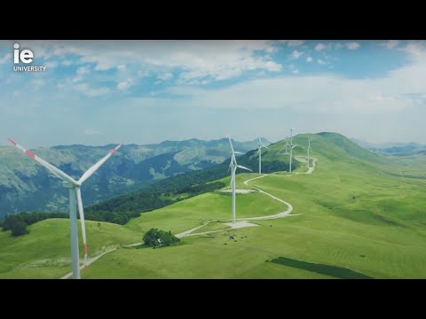 Cracking the Sustainability Puzzle | ESG & Finance Insights by IE