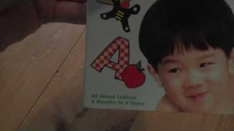 My VHS Collection (as of 10/27/18) Part 6