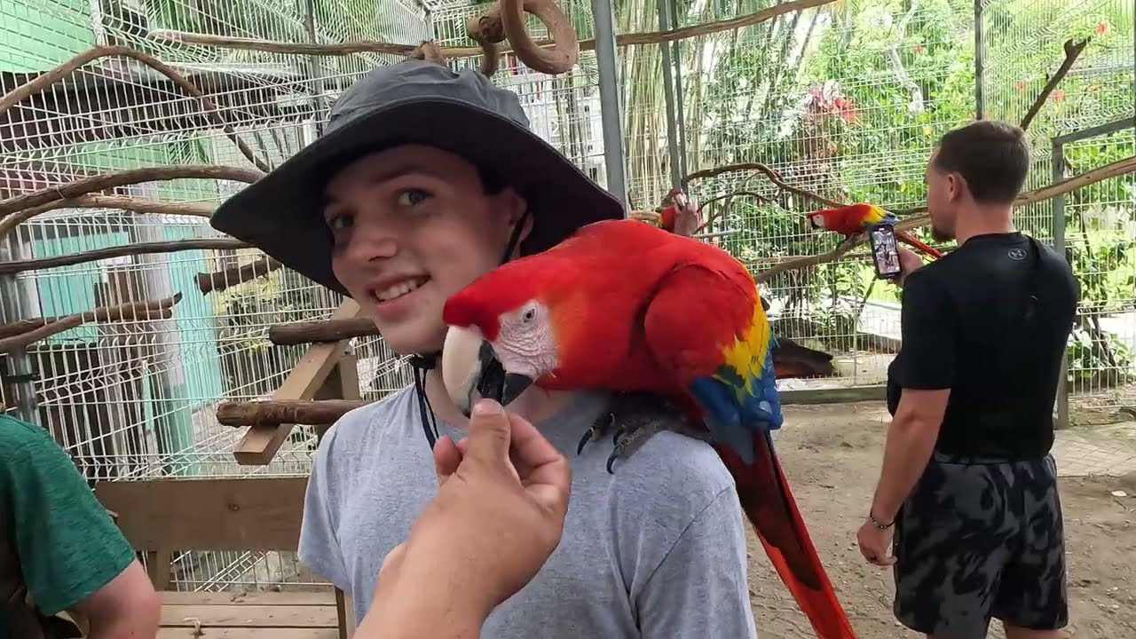 Utila Scuba Trip 2025