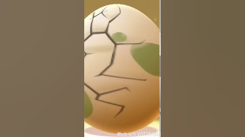 My 10K egg Pokemon pinsir SUB!