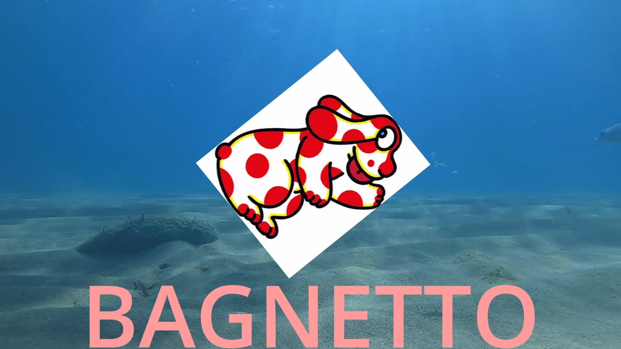 REMAKE PARODIA DELLA PIMPA (con video animato)