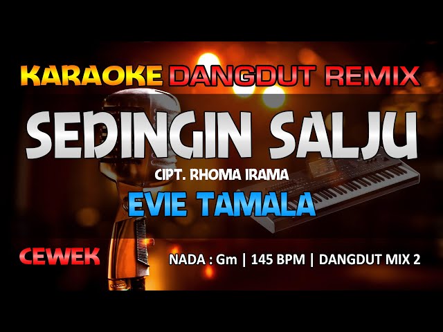SEDINGIN SALJU - Evie Tamala || RoNz Karaoke Dangdut Remix class=