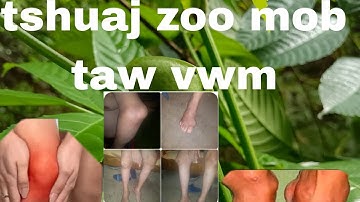 tshuaj zoo mob taw vwm