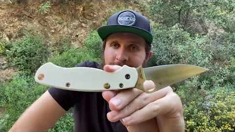 Bladeswelove PM2 Ultra Full Review! Button Lock Spyderco Paramilitary 2 Awesomeness!