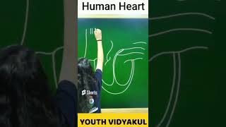 Easy Trick to Draw Human Heart #heart  #humanbrain  #drawing #diagram Profile
