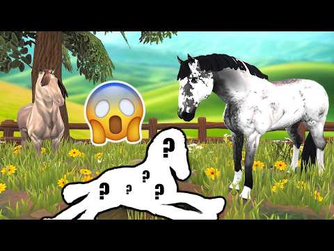 we breed the WORST and BEST FOAL 🐴 Star Equestrian