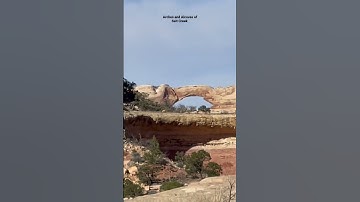 Thumbnail of #short - Arches and Alcoves of Salt Creek - shorts