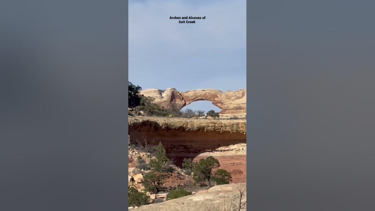 #short - Arches and Alcoves of Salt Creek - shorts