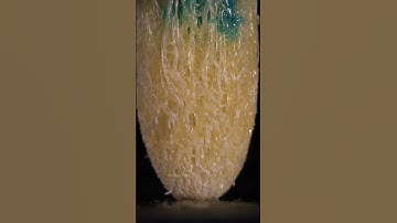 ASMR the HEAD of marker pen close-up macro #shorts #satisfying #closeup #asmr #macro