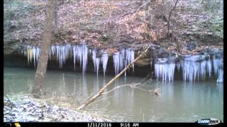 Icicle Time Lapse Graham Creek
