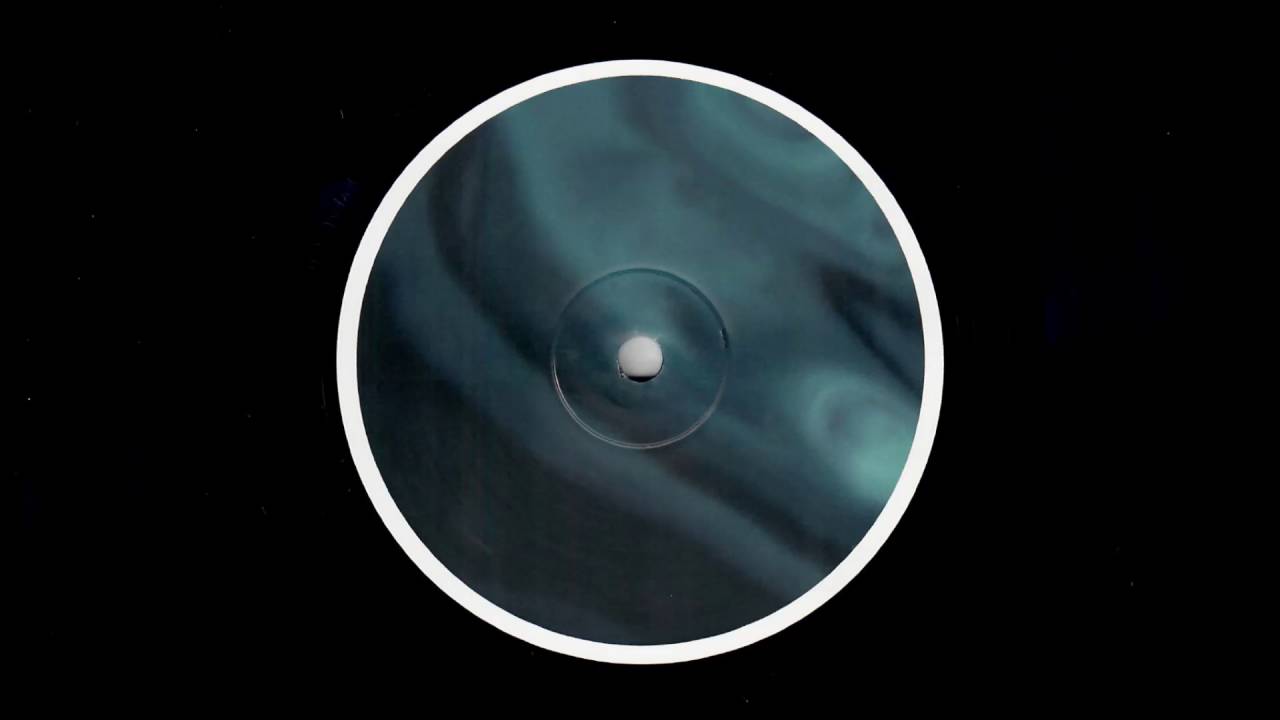 Luigi Tozzi - Bathypelagic Zone