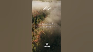 Amazing Relaxing voice , Listen To The Quran, Surah An-Najm by QARI HAMZA AHMED | سورة النجم