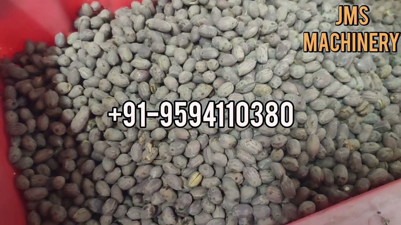 PEANUT ROASTER MACHINE, MINI ROASTER MACHINE +91-8369723027