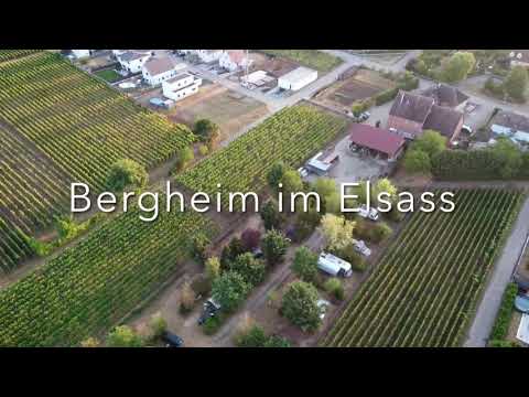 Elsass-Bergheim 2020