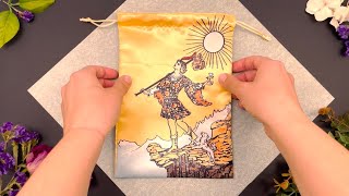 The Fool Tarot Pouch
