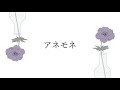 アネモネ/Shunsuke