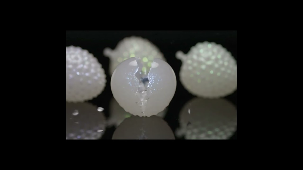 This Lychee is Made of GLASS?! 😱 | Glass Lychee Illusion Will Blow Your Mind! 