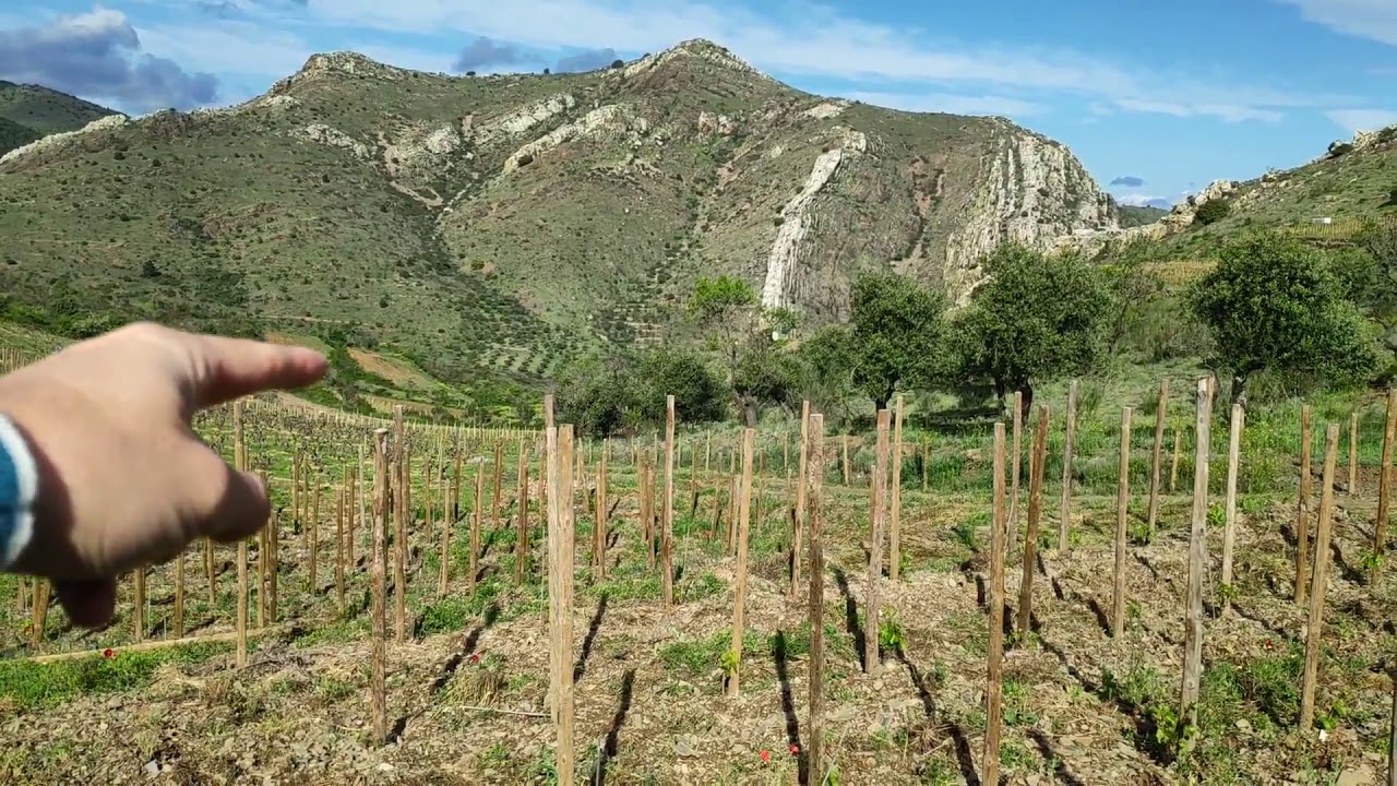 Jardín de las iguales, viñedo extremo de montaña