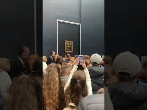 Everyone taking photos of Mona, I was just filming Lisa #monalisa #louvremuseum #louvre #davinci