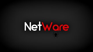 The Best FREE Cheat For 1v1.LOL | NetWare