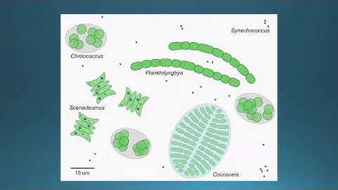 2023 Interagency Ecological Program - Annual Workshop - Day 2