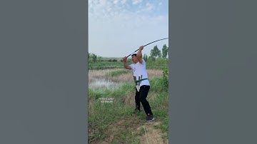 Cần câu tay 6H, 4,2m, rút gọn 30cm, câu cá chép giá rẻ 😍😍 #fishing  #shorts