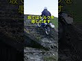 セロー225良すぎるので動画にしました #オフロードバイク #セロー225 #バイク