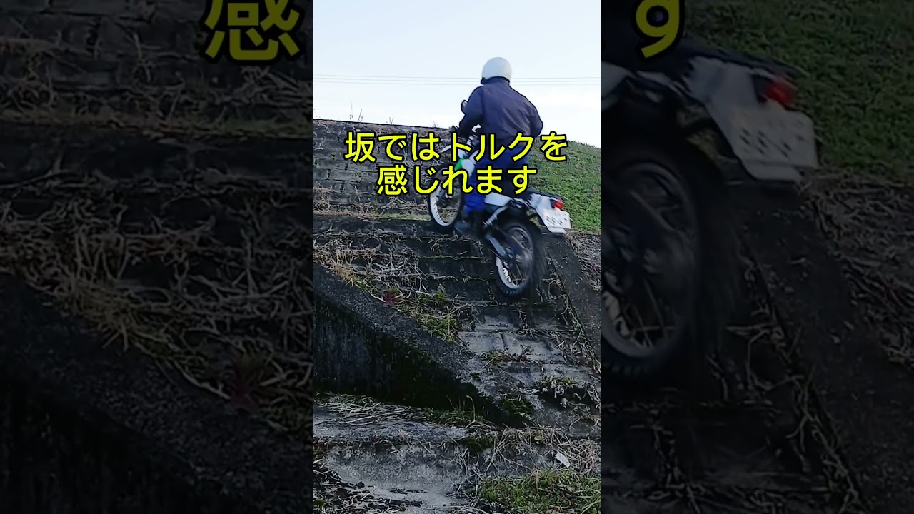 セロー225良すぎるので動画にしました #オフロードバイク #セロー225 #バイク