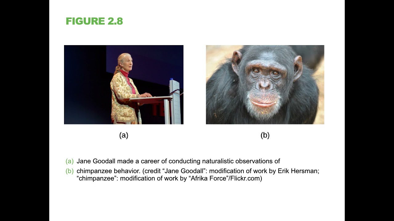 OpenStax Psychology2e CH02 Online Lesson