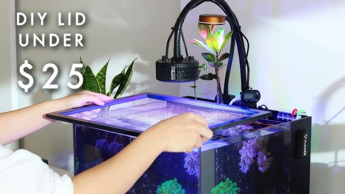 Tutorial: Make a DIY Screen Top for Your Aquarium 