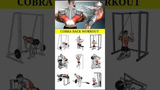 Fitness idea 💪💪 Full body workout Grow your body Back workout #workut #bodybuilding #virareel