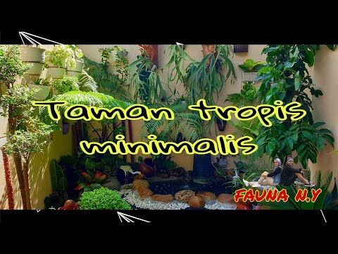 Video: Tumbuhan Hutan Hujan Tropika Tahan Sejuk Untuk Kolam