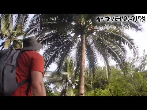세계테마기행 - 아시아 <strong>강촌기행</strong>- 열대 우림 사이로 필리핀_#002