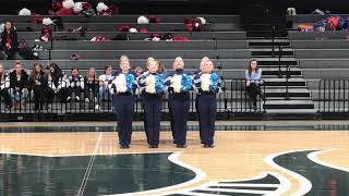 2018-19 Class C/D MAPP State Champs Hemlock Varsity Poms