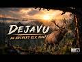 An Archery Elk Hunt | DEJAVU | 4K