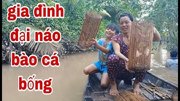 Sư Mẫu Kéo Nguyên Gia Đình Đi Thăm Lợp Cá Bống Dừa Vui Như Cái Chợ # SĂN BẮT ĐỒNG THÁP #