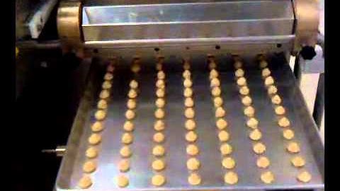 BakeryMachinery.Net Bacci Cookie Production