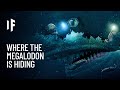 What If the Megalodon Was Hiding in the Mariana Trench?