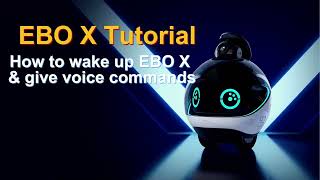 EBO X, How to wake up EBO X & give voice commands by Enabot 482 views 8 months ago 1 minute, 56 seconds